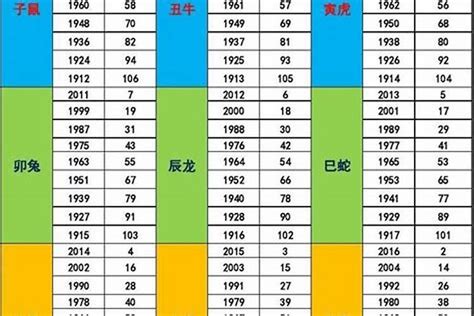 1995年五行